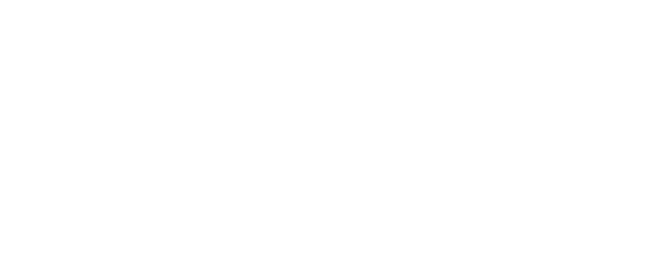 Raise the Future